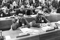 7104752395-76107ce3c8-o - copia